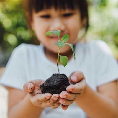 EcoAção – Cuidar, Criar e Renovar